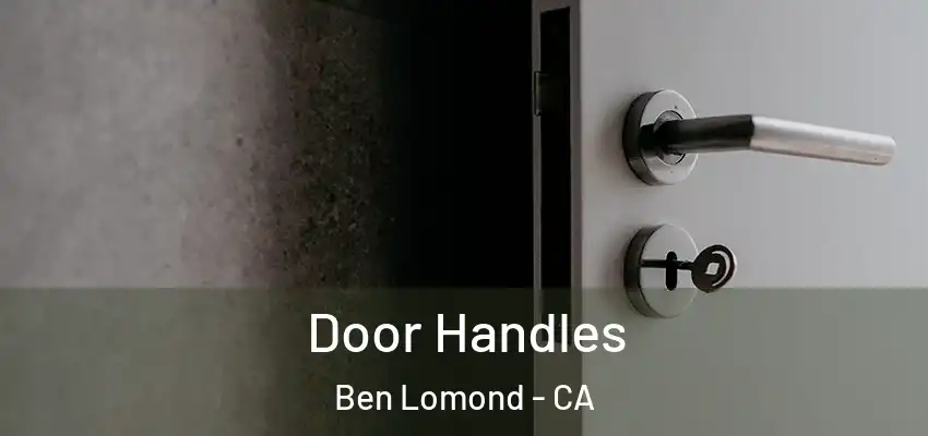  Door Handles Ben Lomond - CA
